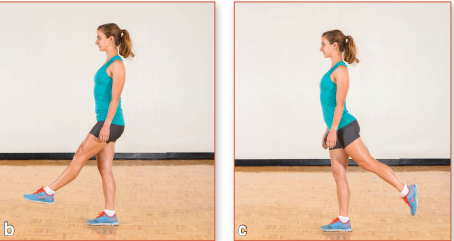 微信图片_20220303093415.png 微信图片_20220303093415.png